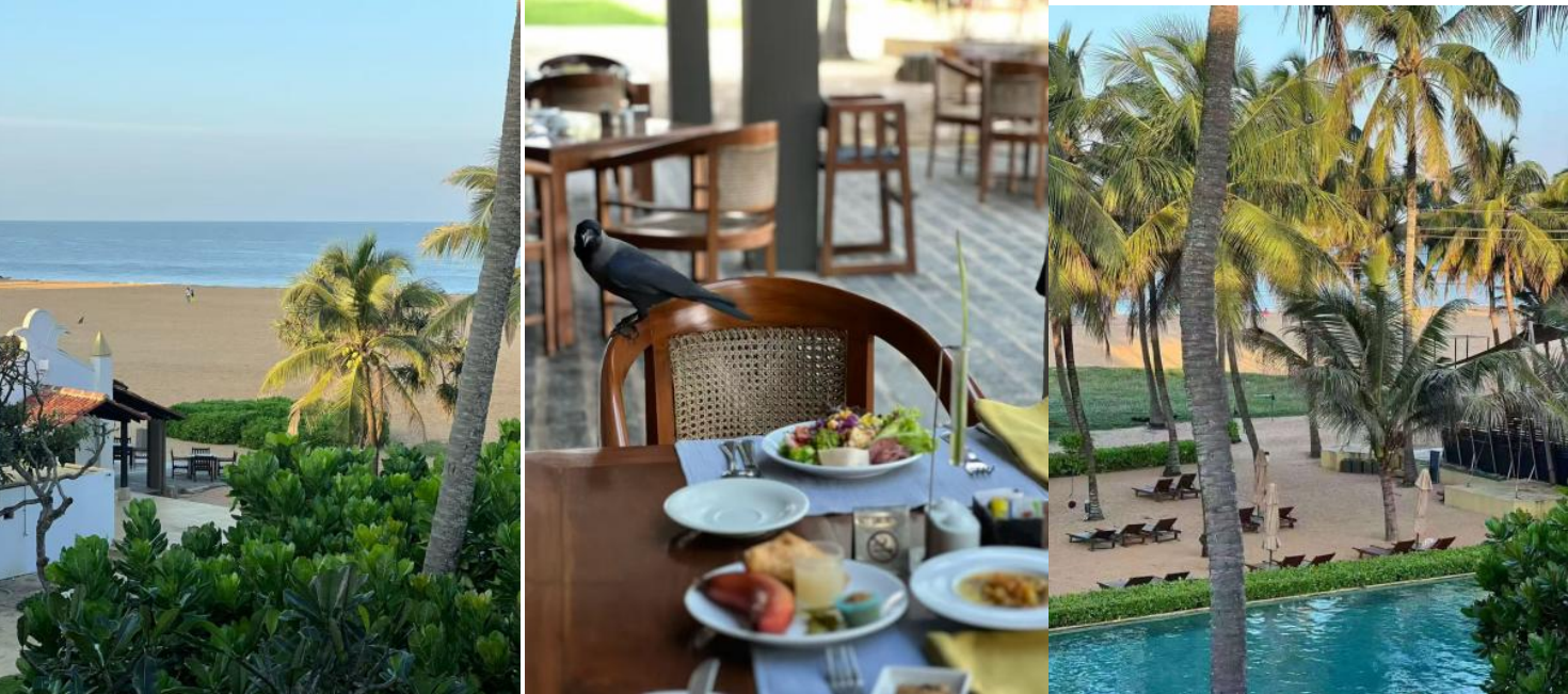 74fbc697-0c11-44cf-bda6-4af10fffe72e