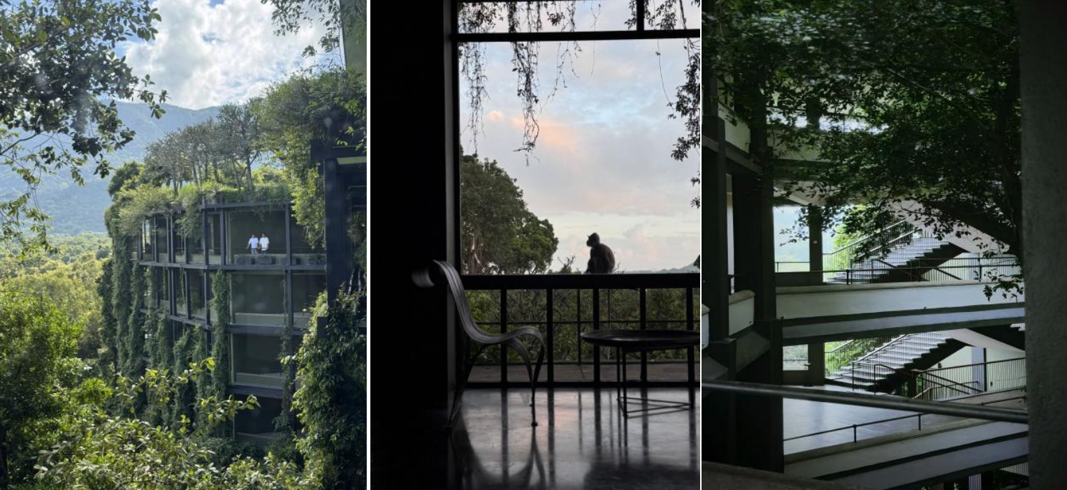 e5a9778d-95d5-440e-b78c-c262cade2ea2