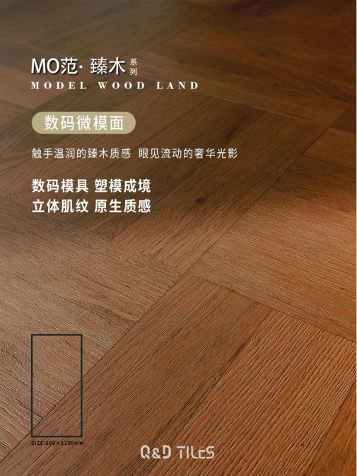 微信图片_2026-06-17_120200_504